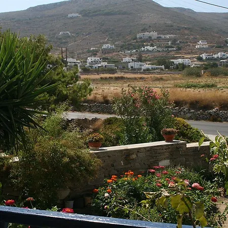 Vaya